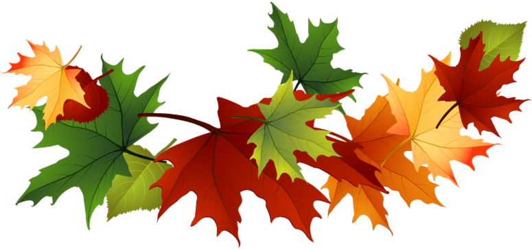 Bel-ray Wellness Center - Transparent Background Fall Leaves Clip Art (800x405)
