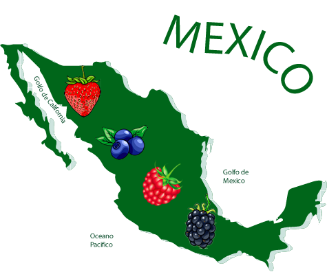 Gray Mexico Map (475x396)