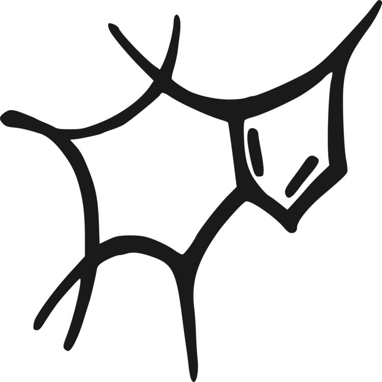 Molecule Caffeine Coffee Caffeinated Drink Ball And - Caffeine Molecule Clipart (750x750)