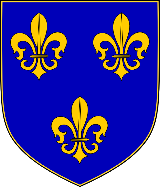 Royal Shield Vector Png Download - Escudos Con Flor De Lis (510x596)