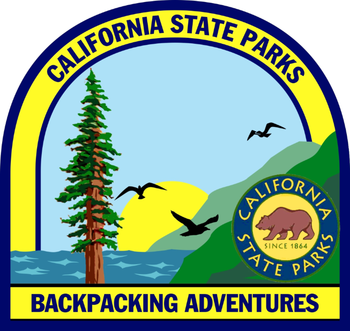 This Program Is Truly Unique, The Only Such Program - Asilomar State Marine Reserve (1200x1135)