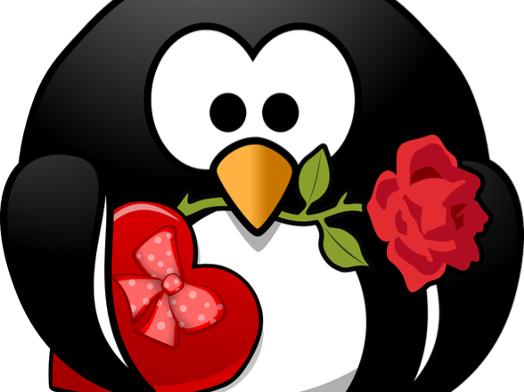 Valentine's Day - Bonitas Para Fondo De Pantalla (588x440)