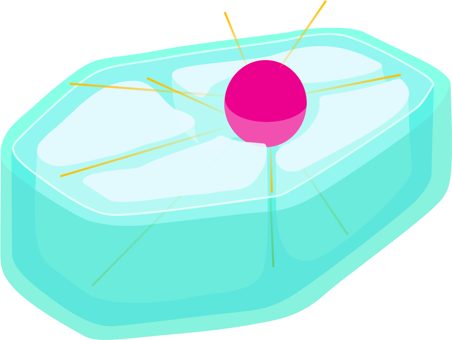 Plant Cell First Gap - 2000px Plant_cell Prophase (2000x1379)