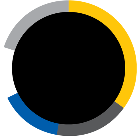 Guadalajara 35% - Circle (500x485)