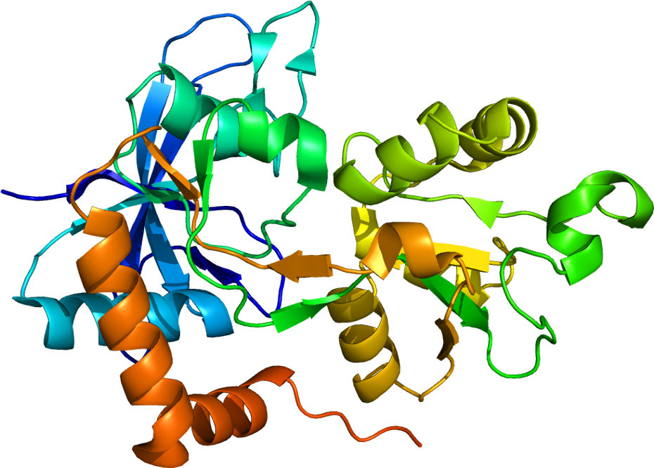 Alpha Lactalbumin Molecule Structure (979x715)