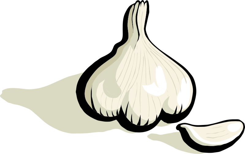 Clip Art Tags - Clip Art Garlic Png (800x504)