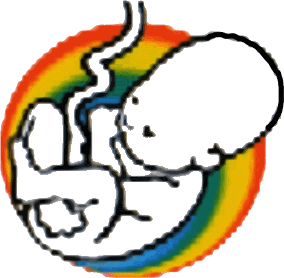 Colori Della Vita - Research (586x570)