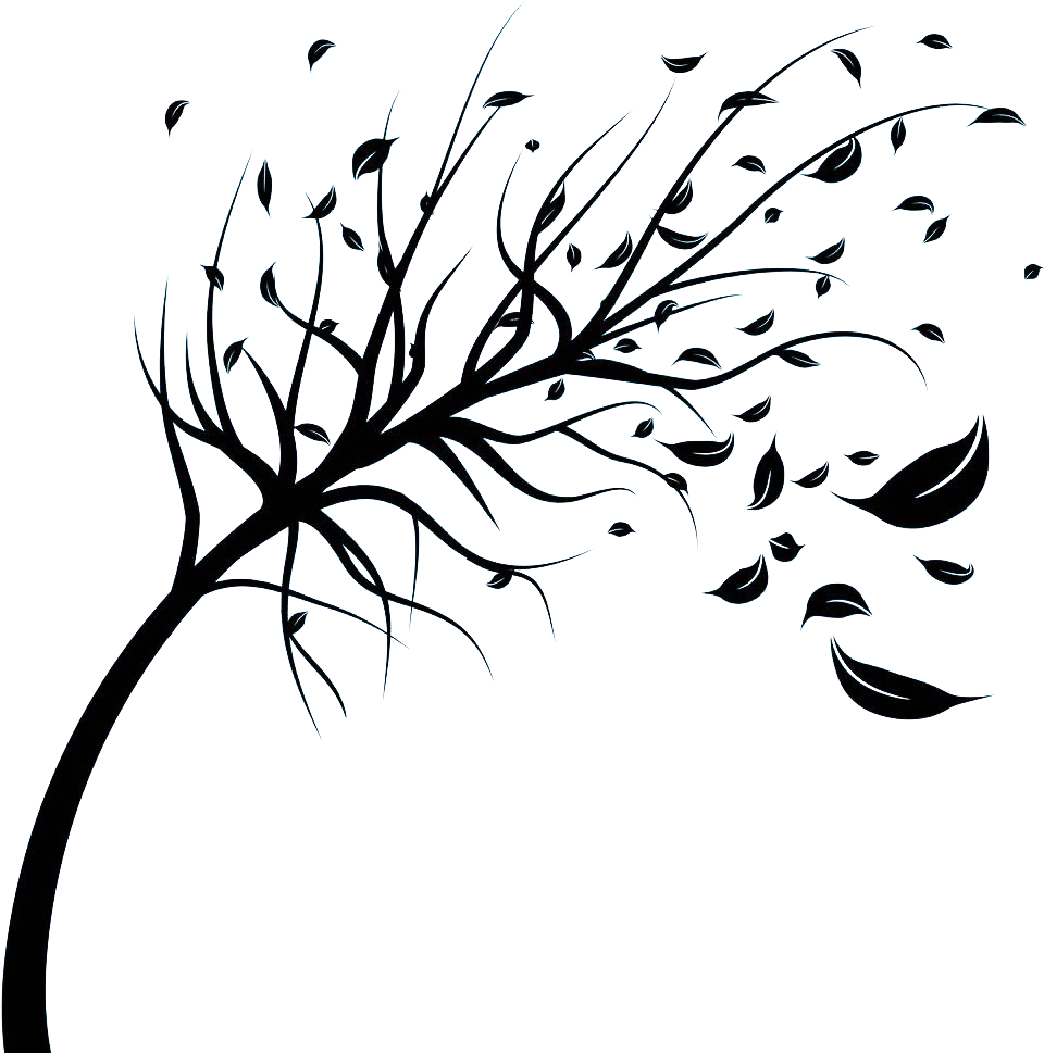 Wind Stock Photography Royalty-free Tree Clip Art - Leaves Blowing In The Wind Drawing (1000x1000)