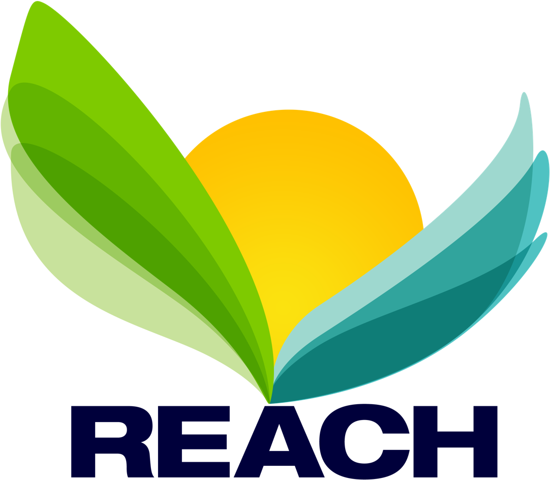 Reach Wellness & Recovery, Helping Patients With A - Graphic Design (1106x960)