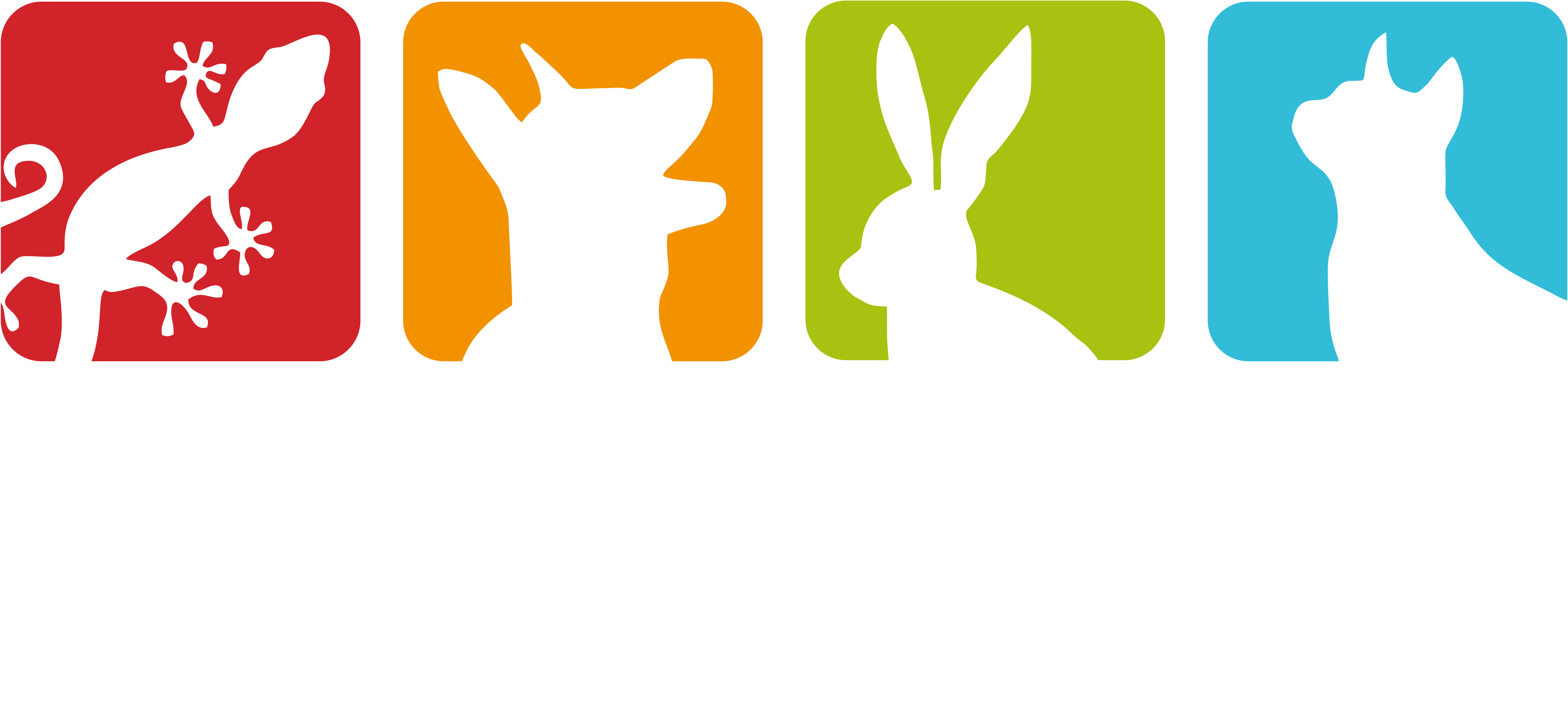 The Care Your Pets Deserve - Craighall Veterinary Hospital (4968x2245)