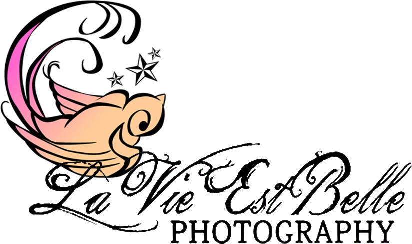 Beautiful Memories Deserve Beautiful Portraits - Pako Litto (1000x494)