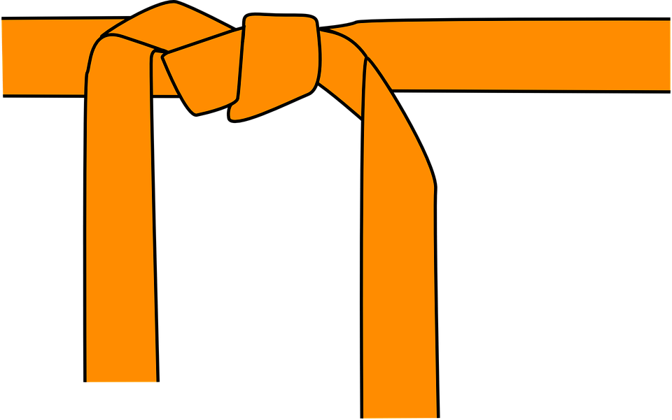 Considerations When Choosing Best Bjj Belts - Considerations When Choosing Best Bjj Belts (960x601)