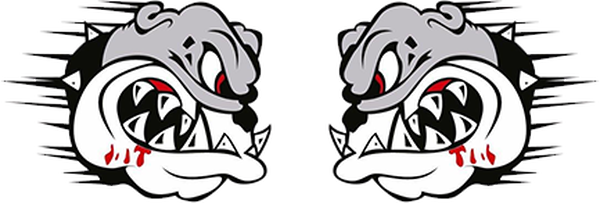 Jiujitsu - Carlson Gracie Jiu Jitsu Team (600x203)