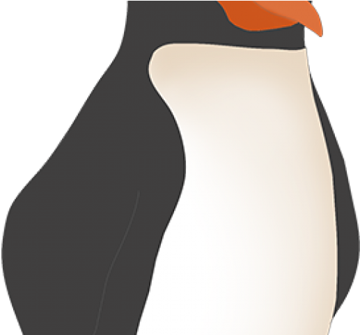 Penguins Of Madagascar Clipart King Penguin - King Penguin (640x480)