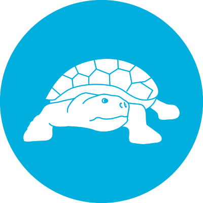 Madagascar Big-headed Turtle - Corporate Social Responsibility Icon (400x400)