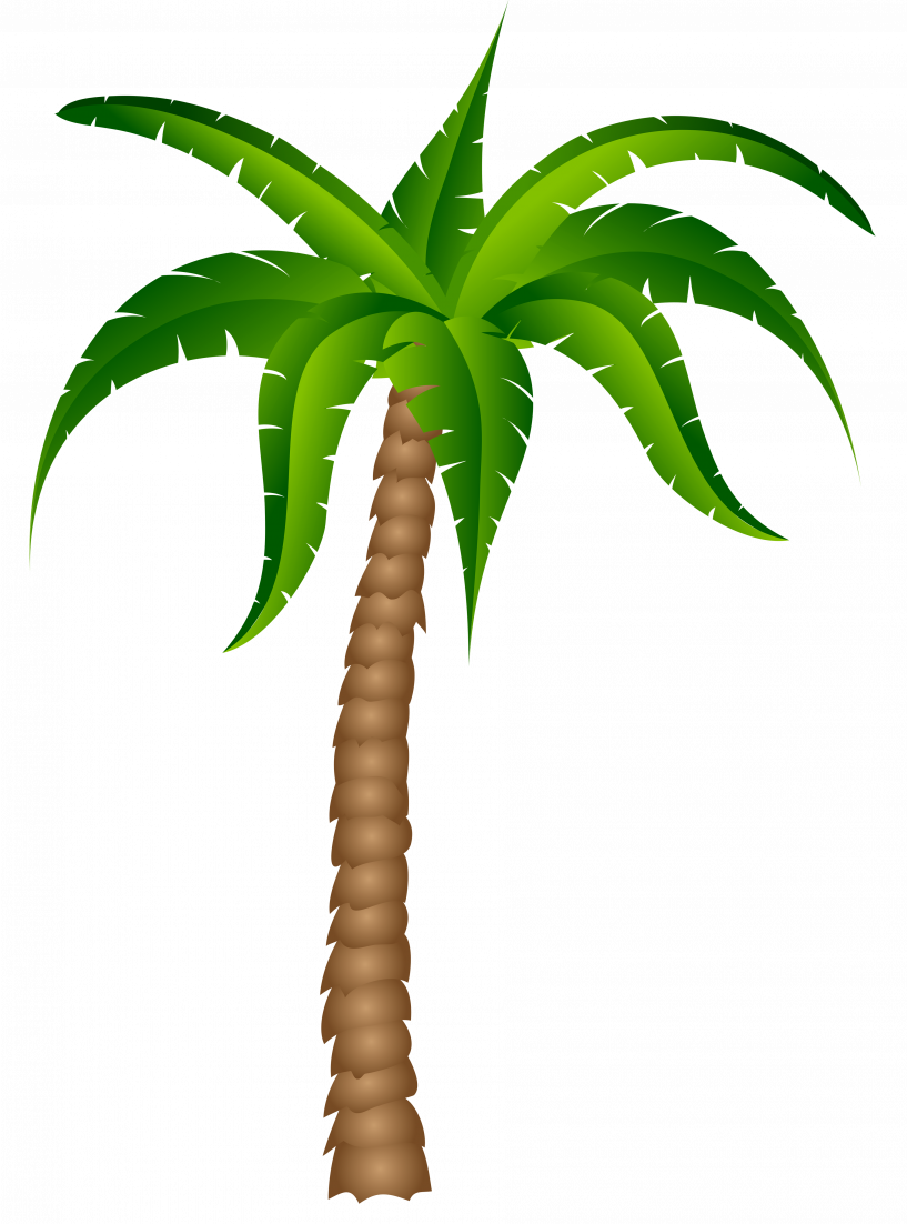 Surfboard Palm Tree Clip Art Black And White Stock - Palm Tree With No Background (817x1102)
