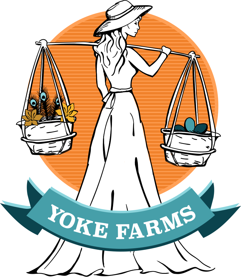 Yoke Farms - Fears, Doubts And Joys Of Not Belonging (829x954)