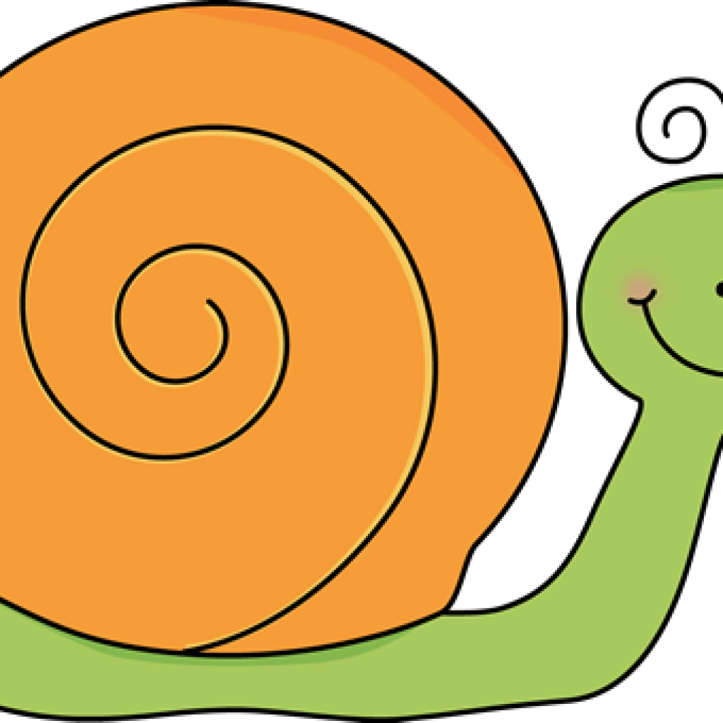 Snail Clip Art Free Snail Cliparts Download Free Clip - Clip Art (1024x1024)