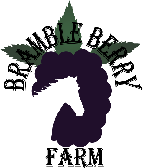 Organic Food (500x573)