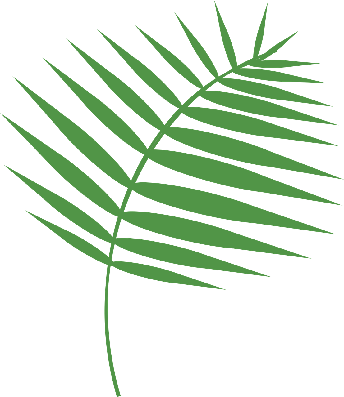 Graphic,palm,palm Sunday,holy Vector - Пальмовая Ветвь Пнг (1107x1280)