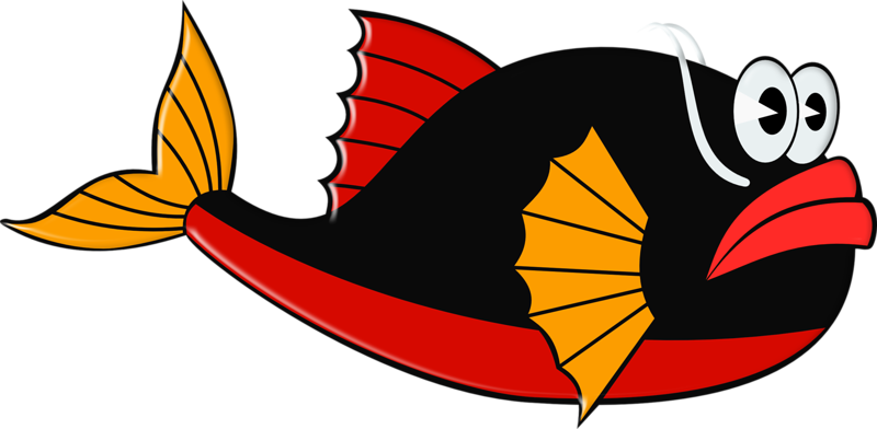 ○•‿✿⁀ocean Safari‿✿⁀•○ - Clip Art (800x392)