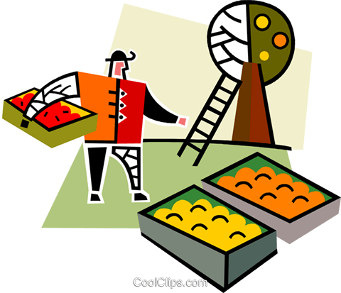 Produtor De Frutas Livre De Direitos Vetores Clip Art - Illustration (480x413)