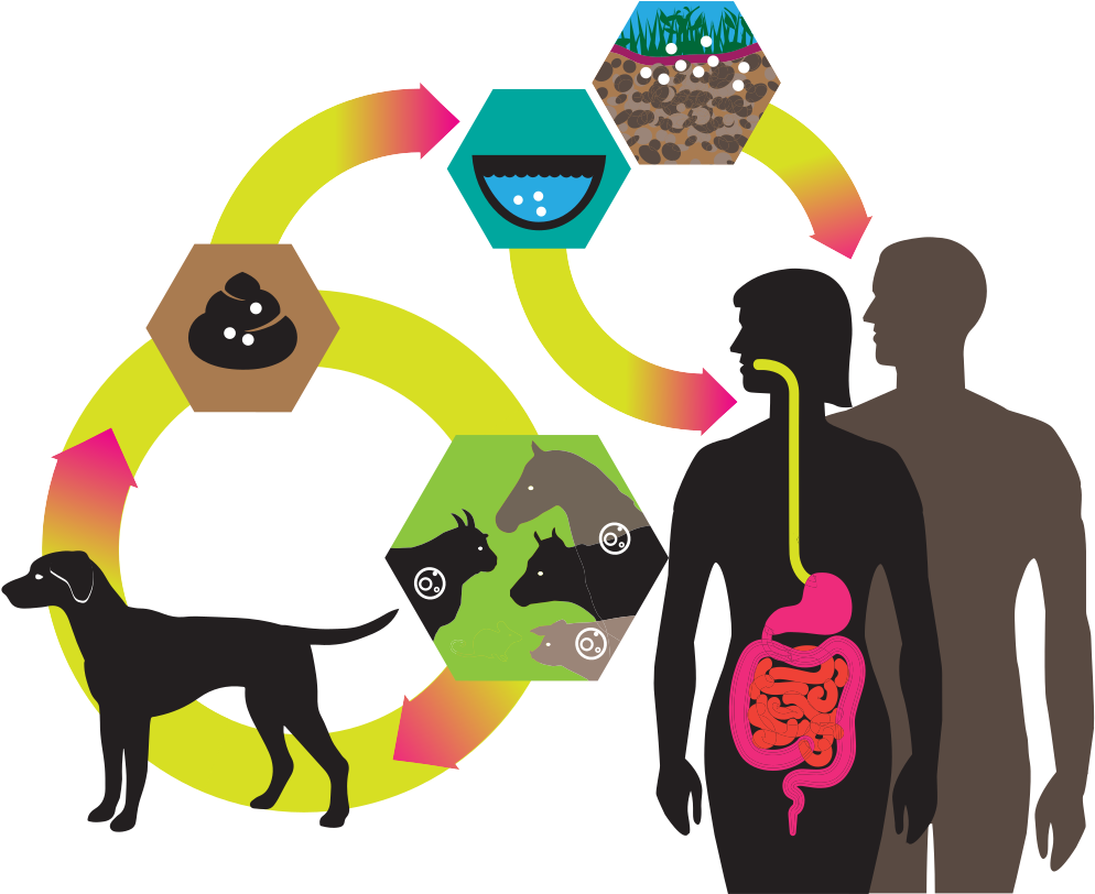 Echinococcus - Liebe Mein Hund Und Katze Mauspads (1104x1104)