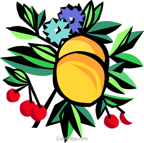Frutas Livre De Direitos Vetores Clip Art Ilustração - Frutas Livre De Direitos Vetores Clip Art Ilustração (480x478)