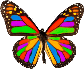 After Creating A First Product, The Students Get Excited - Monarch Butterfly (500x308)