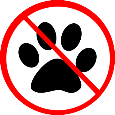 Iron & Ironing Board, Full Linen Supplied Including - White (375x375)