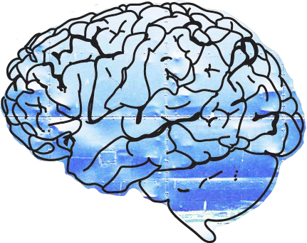 Your Paragraph Here - Glogster (431x342)