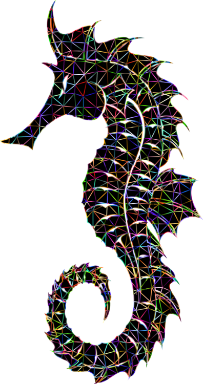 All Photo Png Clipart - Kuda Laut Png (396x750)