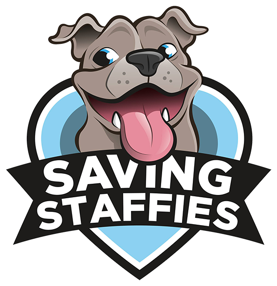 Saving Staffies Rescue - Saving Staffies (600x667)