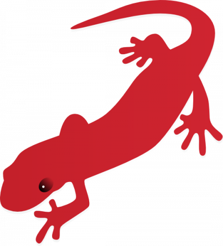 Salamander Clipart - Salamander Clipart (450x495)