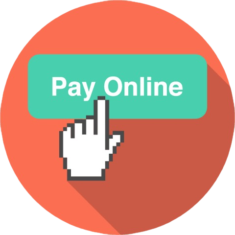 This Is The Image For The News Article Titled Online - Pay Online Icon Png (480x480)