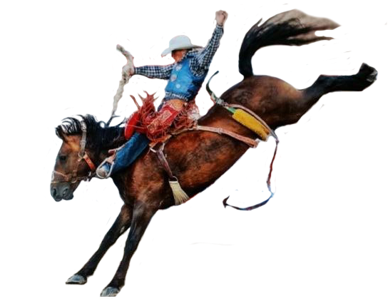 Cowboy Png - Horse And Cowboy Png (585x444)