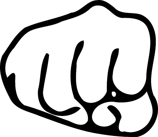 Signs Of Domestic The - Fist Clip Art Png (640x555)