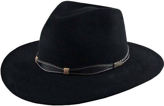 Chapeu Cata Ovo - Blues Brothers Hat (690x444)