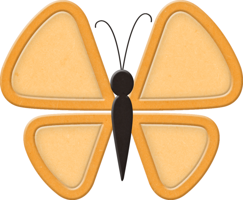 ‿✿⁀butterflies‿✿⁀ Orange Butterfly, Butterfly Images, - Color (800x658)