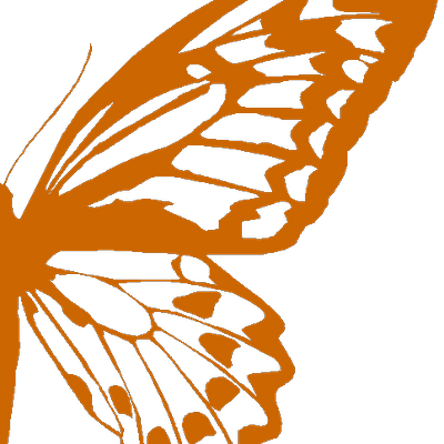 Half Butterfly Png (400x400)