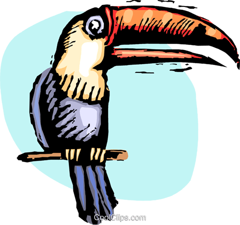 Toucan On Perch Royalty Free Vector Clip Art Illustration - Toucan (480x450)