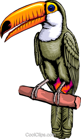Toucan Royalty Free Vector Clip Art Illustration - Toucan (281x480)