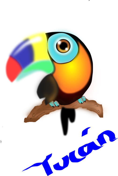 Toucan Parrot Colombia Computer Icons Beak - Clip Art Tucan (505x750)