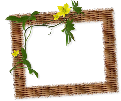 Portfolio, Knots, Clip Art, Arts And Crafts, Moldings, - Picture Frame (600x450)