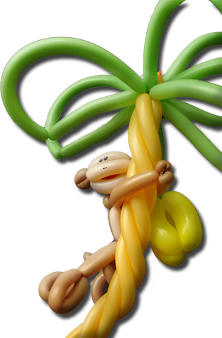 Balloon Sculpting And Magic - Ceratostylis (316x482)