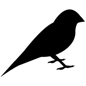 Sparrow Black Png (387x387)