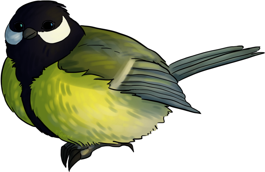 Vector Library Great Tit By Procastinagoat - Library (1024x713)