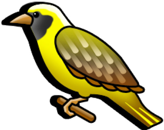 Canary Clipart Weaver Bird - Cartoon Weaver Bird (640x480)