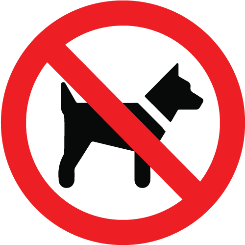 Dogs On The Beach In Cape Canaveral - Do Not Dog Poop (534x515)