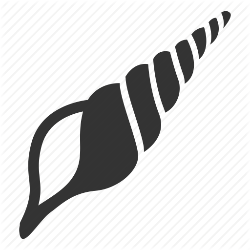 Shells Icon Png Clipart Seashell Computer Icons - Conch Icon (512x512)